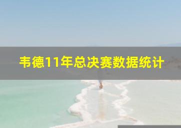 韦德11年总决赛数据统计