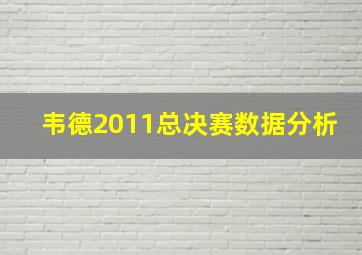 韦德2011总决赛数据分析