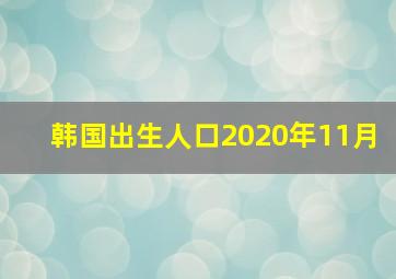 韩国出生人口2020年11月