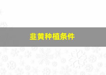 韭黄种植条件