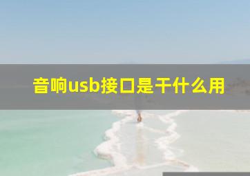 音响usb接口是干什么用