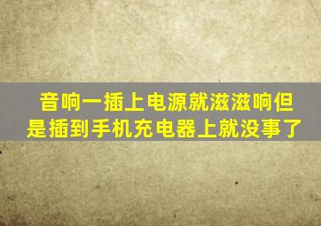 音响一插上电源就滋滋响但是插到手机充电器上就没事了