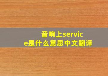 音响上service是什么意思中文翻译