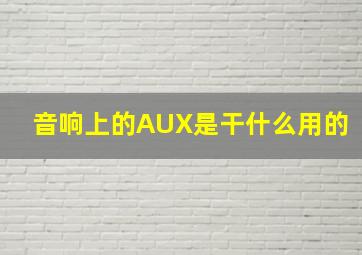 音响上的AUX是干什么用的