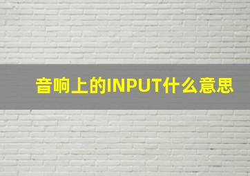 音响上的INPUT什么意思