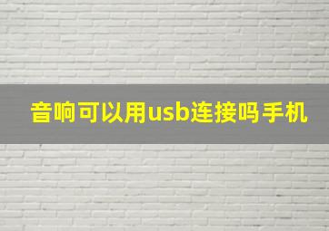 音响可以用usb连接吗手机