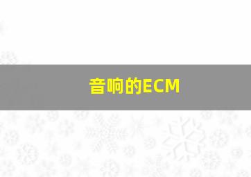 音响的ECM