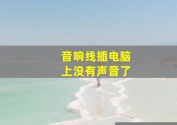 音响线插电脑上没有声音了