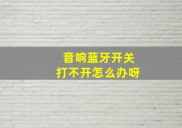 音响蓝牙开关打不开怎么办呀