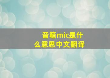 音箱mic是什么意思中文翻译