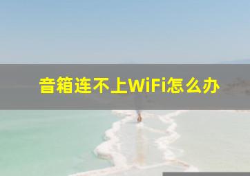 音箱连不上WiFi怎么办