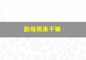 韵母用来干嘛