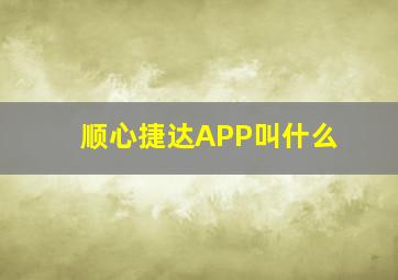 顺心捷达APP叫什么