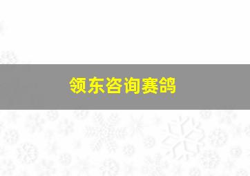 领东咨询赛鸽