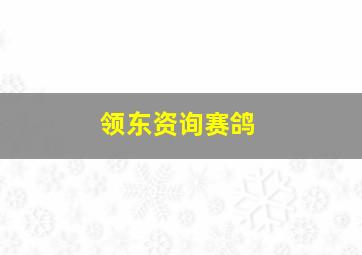 领东资询赛鸽