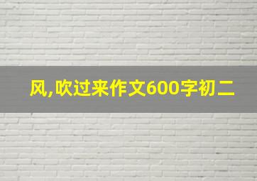 风,吹过来作文600字初二