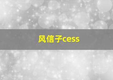 风信子cess