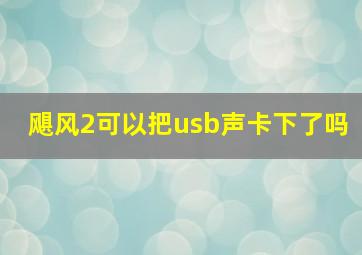 飓风2可以把usb声卡下了吗