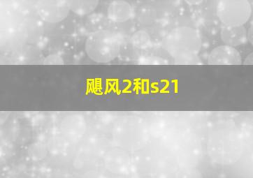 飓风2和s21