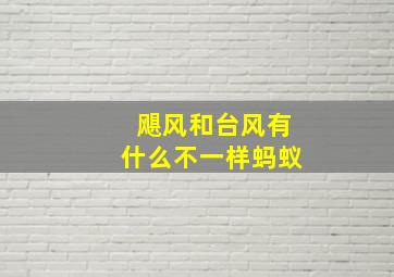 飓风和台风有什么不一样蚂蚁