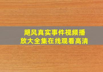 飓风真实事件视频播放大全集在线观看高清