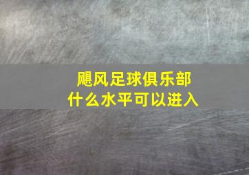 飓风足球俱乐部什么水平可以进入