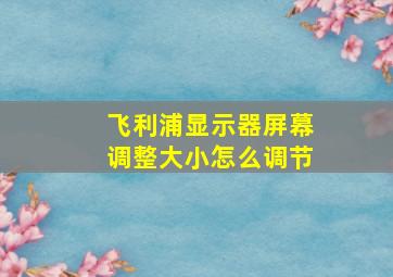 飞利浦显示器屏幕调整大小怎么调节