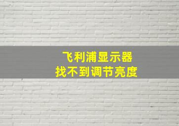 飞利浦显示器找不到调节亮度