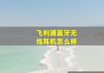 飞利浦蓝牙无线耳机怎么样