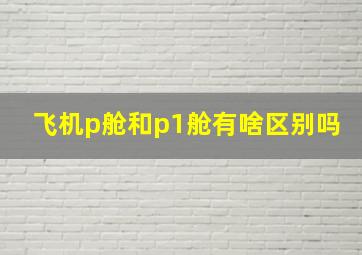 飞机p舱和p1舱有啥区别吗