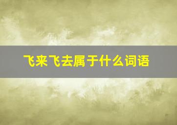 飞来飞去属于什么词语