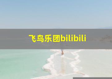 飞鸟乐团bilibili