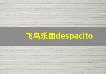 飞鸟乐团despacito