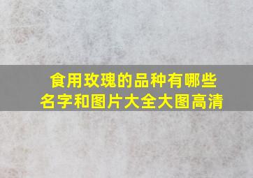 食用玫瑰的品种有哪些名字和图片大全大图高清