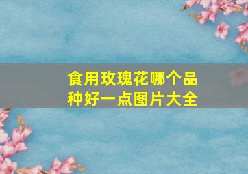 食用玫瑰花哪个品种好一点图片大全