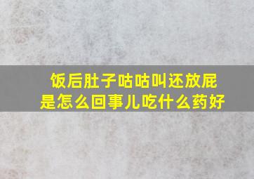 饭后肚子咕咕叫还放屁是怎么回事儿吃什么药好