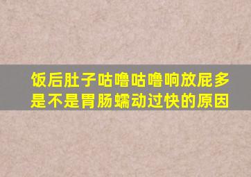 饭后肚子咕噜咕噜响放屁多是不是胃肠蠕动过快的原因