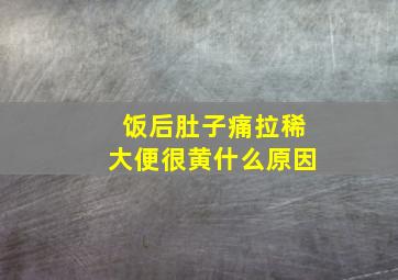 饭后肚子痛拉稀大便很黄什么原因