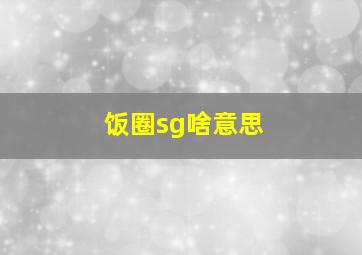 饭圈sg啥意思