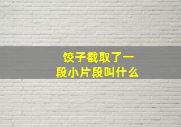 饺子截取了一段小片段叫什么