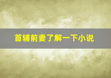 首辅前妻了解一下小说