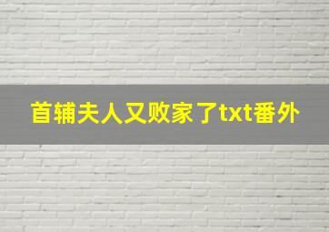 首辅夫人又败家了txt番外