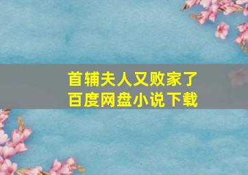 首辅夫人又败家了百度网盘小说下载