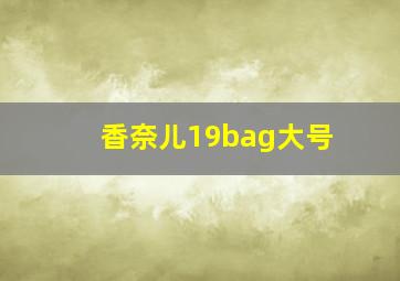 香奈儿19bag大号