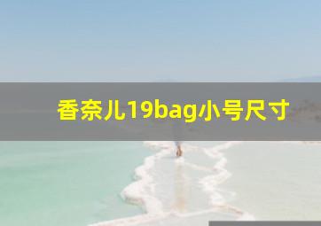 香奈儿19bag小号尺寸