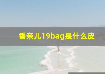 香奈儿19bag是什么皮