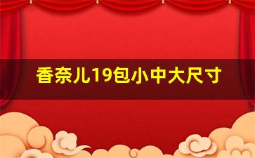 香奈儿19包小中大尺寸