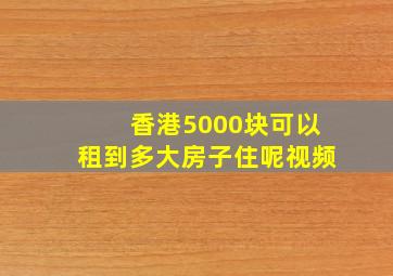 香港5000块可以租到多大房子住呢视频