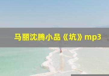 马丽沈腾小品《坑》mp3