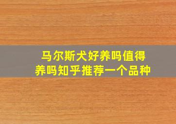 马尔斯犬好养吗值得养吗知乎推荐一个品种